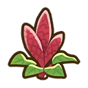 Amaranth crop icon