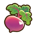 Beet crop icon
