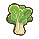 Bok choy crop icon