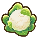Cauliflower crop icon