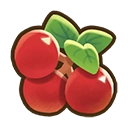 Cranberry crop icon