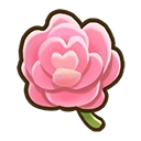 Fairy rose crop icon
