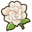 Gardenia crop icon
