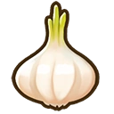 Garlic crop icon