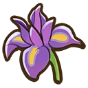 Iris crop icon
