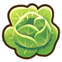 Lettuce crop icon