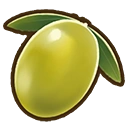 Olive crop icon