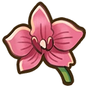 Orchid crop icon