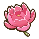 Peony crop icon