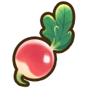 Radish crop icon