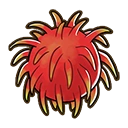 Rambutan crop icon