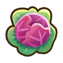 Red cabbage crop icon