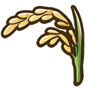 Rice crop icon