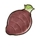 Taro root crop icon