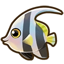 Angelfish fish icon