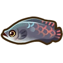 Arapaima fish icon