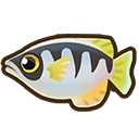 Archer fish icon