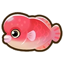 Asian sheepshead fish icon
