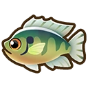 Bluegill fish icon