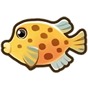 Boxfish fish icon