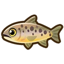 Brown trout fish icon