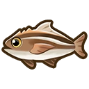 Cobia fish icon