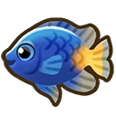 Damselfish fish icon