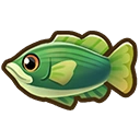 Giant sea bass fish icon