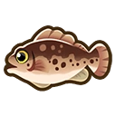 Grouper fish icon