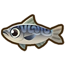 Mackerel fish icon