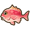Pink snapper fish icon