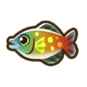 Rainbow fish fish icon