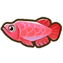 Red king arowana fish icon