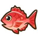 Red snapper fish icon