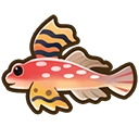 Ruby red dragonet fish icon