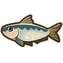 Sardine fish icon