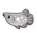 Silver arowana fish icon