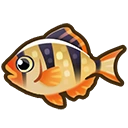 Tiger barb fish icon