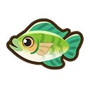 Tilapia fish icon