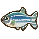 Zebra fish fish icon